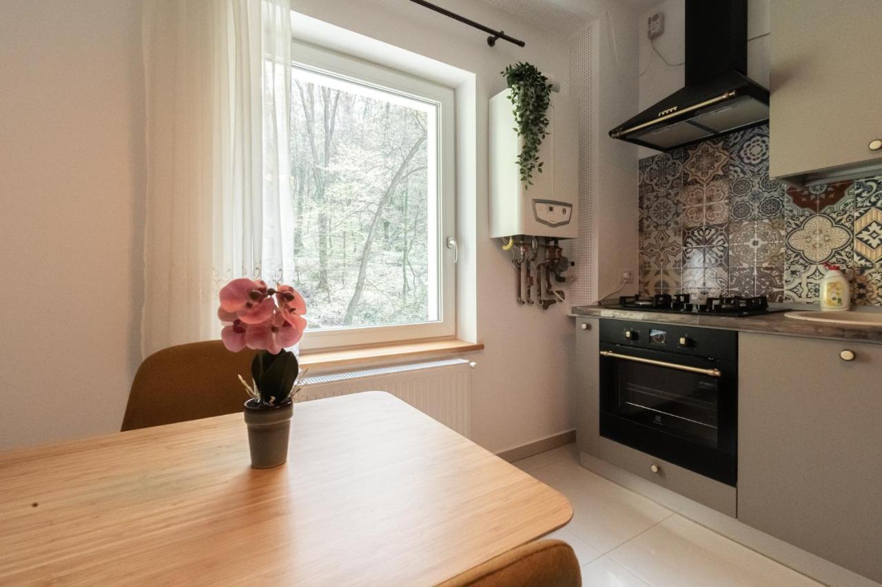 בראשוב Nature Apartment - Minutes Away From The Old Town And Afi Mall מראה חיצוני תמונה